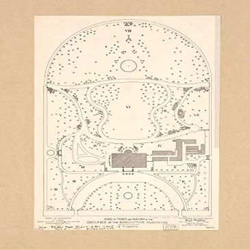 Historic Prints 18" x 24" 1900 Map Guide to Trees & Shrubs in The Grounds The Executive Mansion Washington D.C