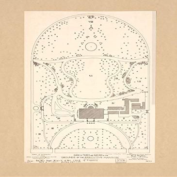 Historic Prints 18" x 24" 1900 Map Guide to Trees & Shrubs in The Grounds The Executive Mansion Washington D.C