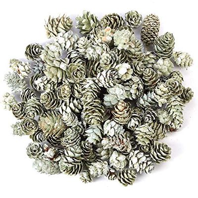 Factory Direct Craft Miniature Green Frosted Birch Cones Home Decor | 8 Ounces