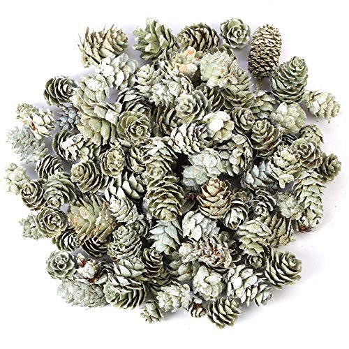 Factory Direct Craft Miniature Green Frosted Birch Cones Home Decor | 8 Ounces
