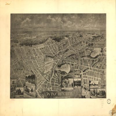 18" x 24" 1898 Map of Winchester Massachusetts