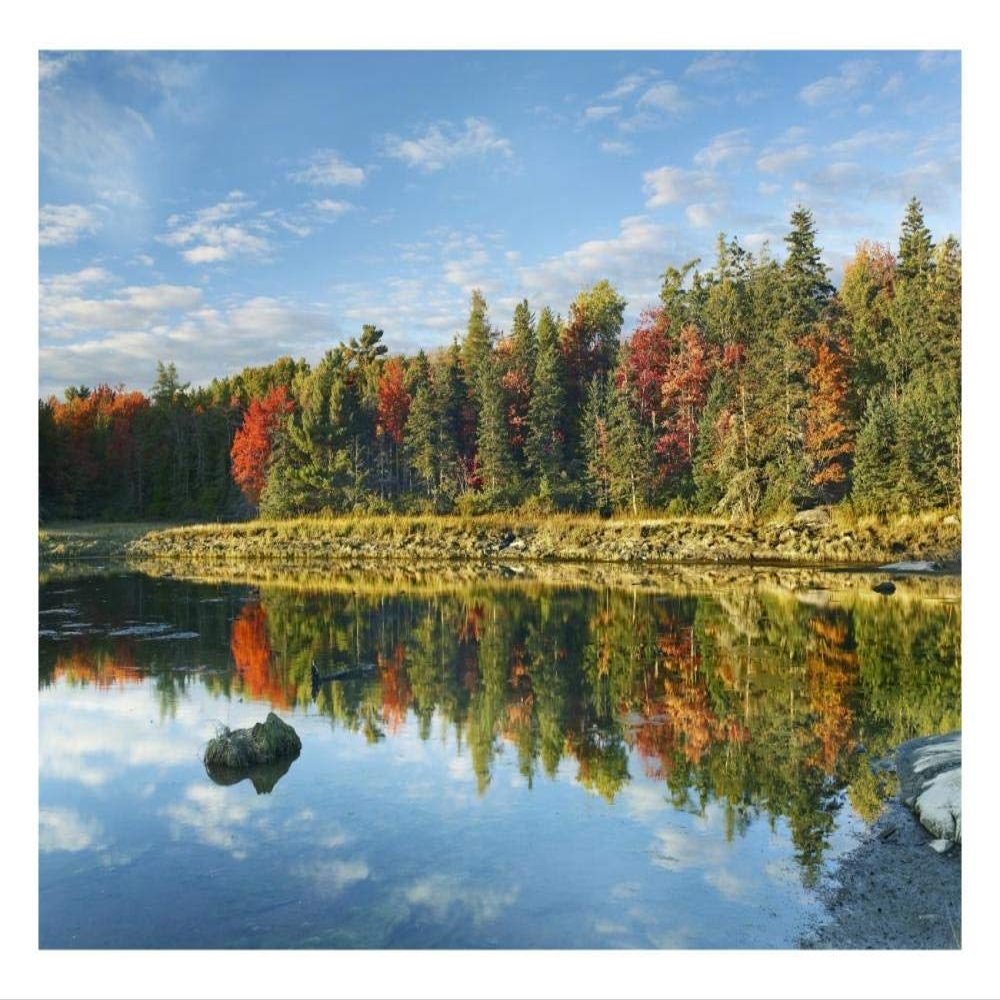 Global Gallery Coastline, Mount Desert Island, Maine-Paper Art-26"x20"