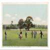 Global Gallery On The Golf Links Hotel Del Monte, Del Monte, Calif, 1898-Paper Art-38"x25" view 1