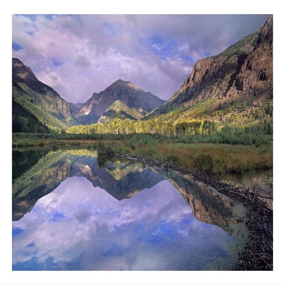 Global Gallery Handies Peak Reflected in Beaver Pond, Maroon Bells-Snowmass Wilderness Area, Colorado-Paper Art-24"x20.26"