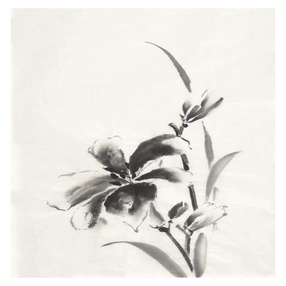 Global Gallery Sumi Daylily IV -PaperArt-14 x18