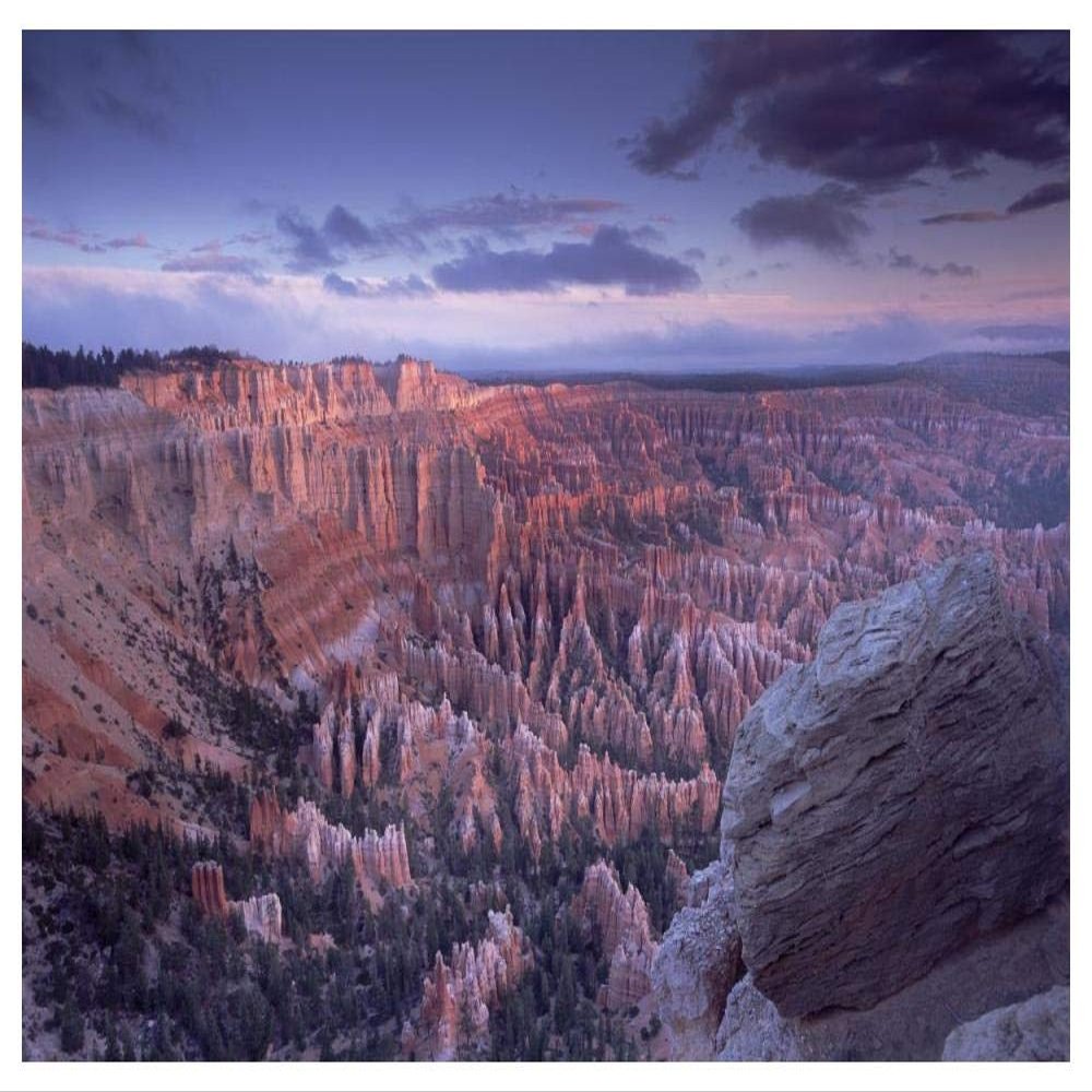 Global Gallery Amphitheater from Bryce Point, Bryce Canyon National Park, Utah-Paper Art-50"x38"