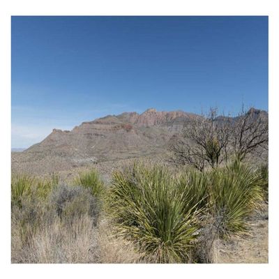 Global Gallery Scenery in Big Bend National Park, TX-Paper Art-26"x18"