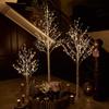Hairui Lighted White Birch Tree 6FT, Twig Tree with Lights Plug in for Christmas Wedding Party Easter Decorations Indoor Outdoor Use view 4
