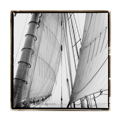 Trademark Fine Art WAG00829-C1818GG Under Sail Ii by Laura Denardo, 18x18-Inch, Multicolor