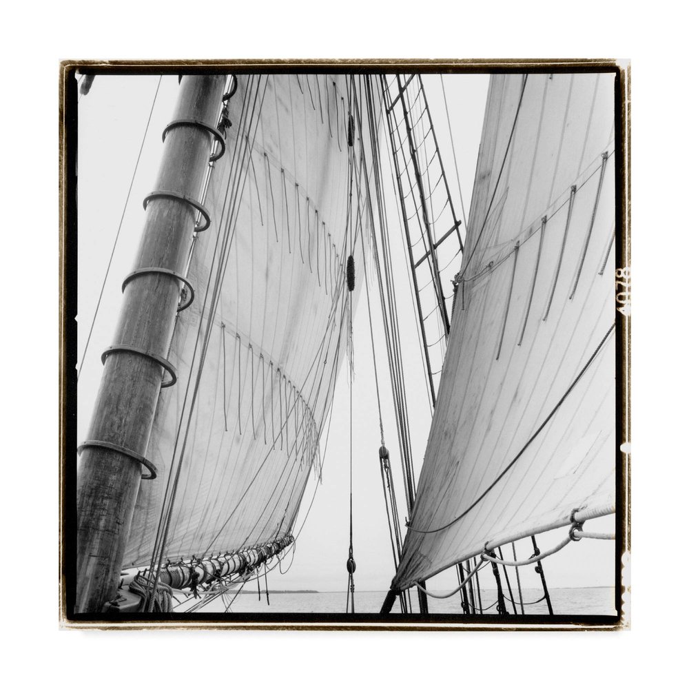 Trademark Fine Art WAG00829-C1818GG Under Sail Ii by Laura Denardo, 18x18-Inch, Multicolor