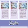 The Stupell Home Dcor Collection Spells for Sale Curses Extra Black and Orange Spider Typography view 4