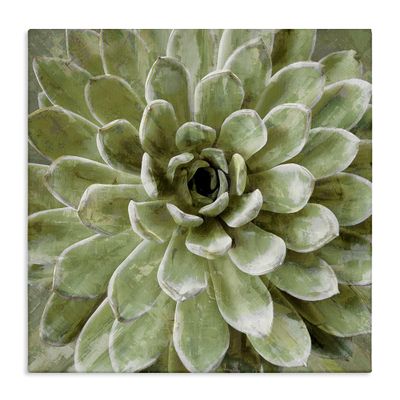 The Stupell Home Dcor Collection Green Painted Botanical Succulent Bloom Stretched Canvas Wall Art, Multi-Color