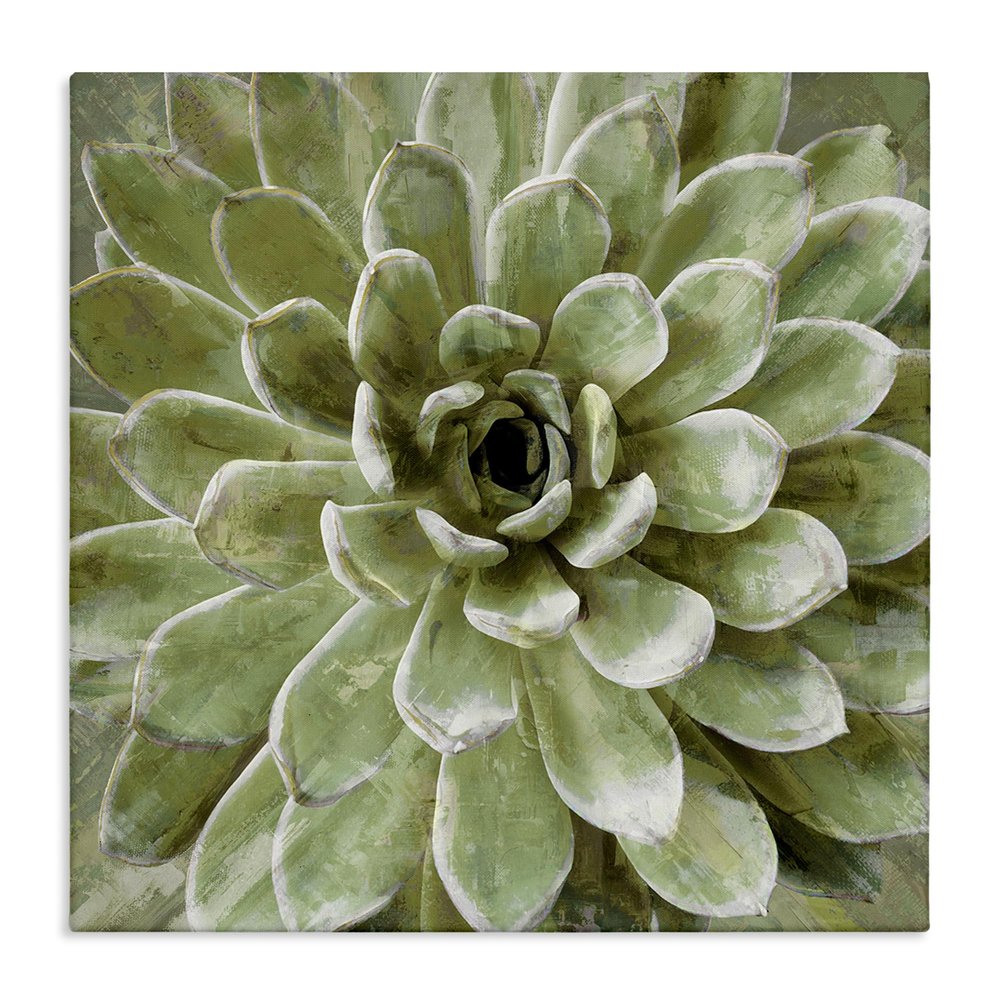 The Stupell Home Dcor Collection Green Painted Botanical Succulent Bloom Stretched Canvas Wall Art, Multi-Color