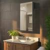 Fine Fixtures Bathroom Medicine Cabinet, Aluminum, Recessed/Surface Mount, Right/Left Hinged, Mirrored Interior (20 x 40) view 2