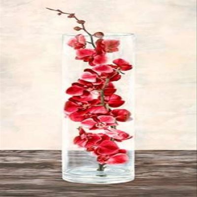 Arrangement of orchids Poster Print by Shin Mills (10 x 20)