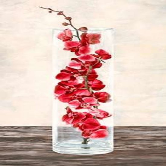 Arrangement of orchids Poster Print by Shin Mills (10 x 20)