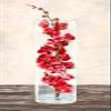 Arrangement of orchids Poster Print by Shin Mills (10 x 20) view 1