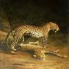 Posterazzi Two Leopards Lying In The Exeter Exchange Poster Print by Jacques-Laurent Agasse, (8 x 10) view 1