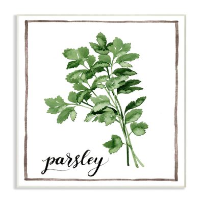 The Stupell Home Dcor Collection Watercolor Herb Illustration Parsley Painting with Script