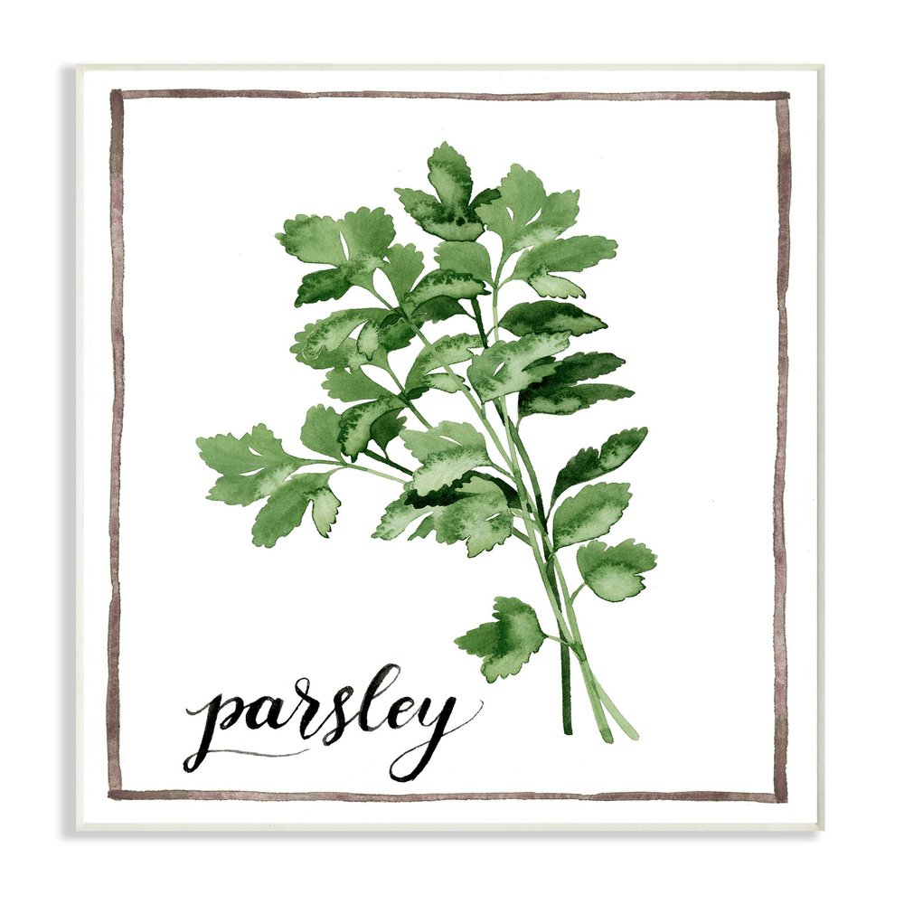 The Stupell Home Dcor Collection Watercolor Herb Illustration Parsley Painting with Script