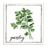 The Stupell Home Dcor Collection Watercolor Herb Illustration Parsley Painting with Script view 1