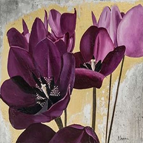 Flowers III Poster Print by David Sedalia (22 x 28)
