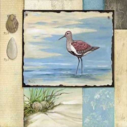 Posterazzi Sandpiper Collage II Poster Print by Paul Brent, (8 x 10)