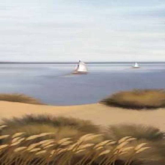 Afternoon Escape Poster Print by Tandi Venter (24 x 48)