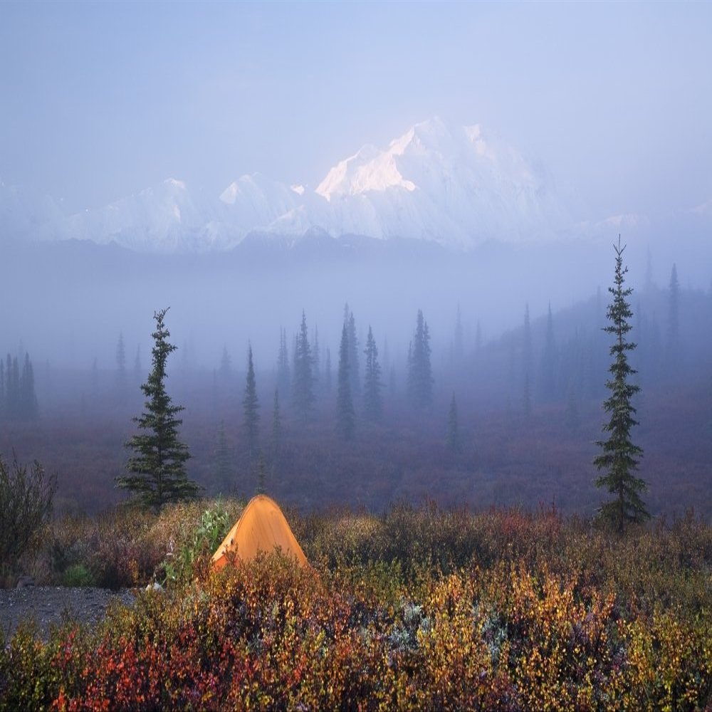Posterazzi DPI2143747LARGE Poster Print by Fog In The Background Denali National Park Alaska, (34 x 22)