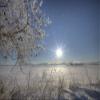 Posterazzi Frost Covered Trees On Winter Morning Alberta Poster Print, (34 x 22) view 1