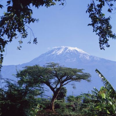 Posterazzi Mt Kilimanjaro Moshi Tanzania Poster Print, (15 x 15)