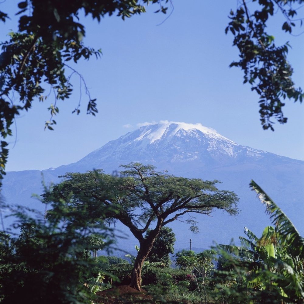Posterazzi Mt Kilimanjaro Moshi Tanzania Poster Print, (15 x 15)