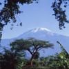 Posterazzi Mt Kilimanjaro Moshi Tanzania Poster Print, (15 x 15) view 1