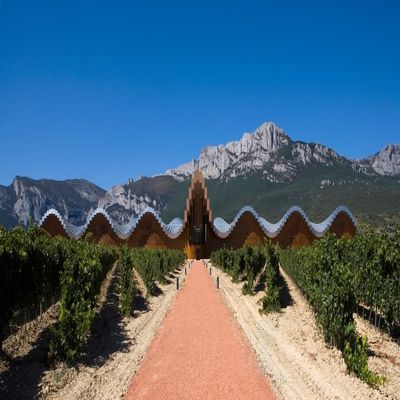 Posterazzi Bodegas Ysios winery building and vineyard La Rioja Spain Poster Print, (12 x 27)
