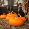 Posterazzi Pumpkins II Poster Print by Karyn Millet, (12 x 18) view 1