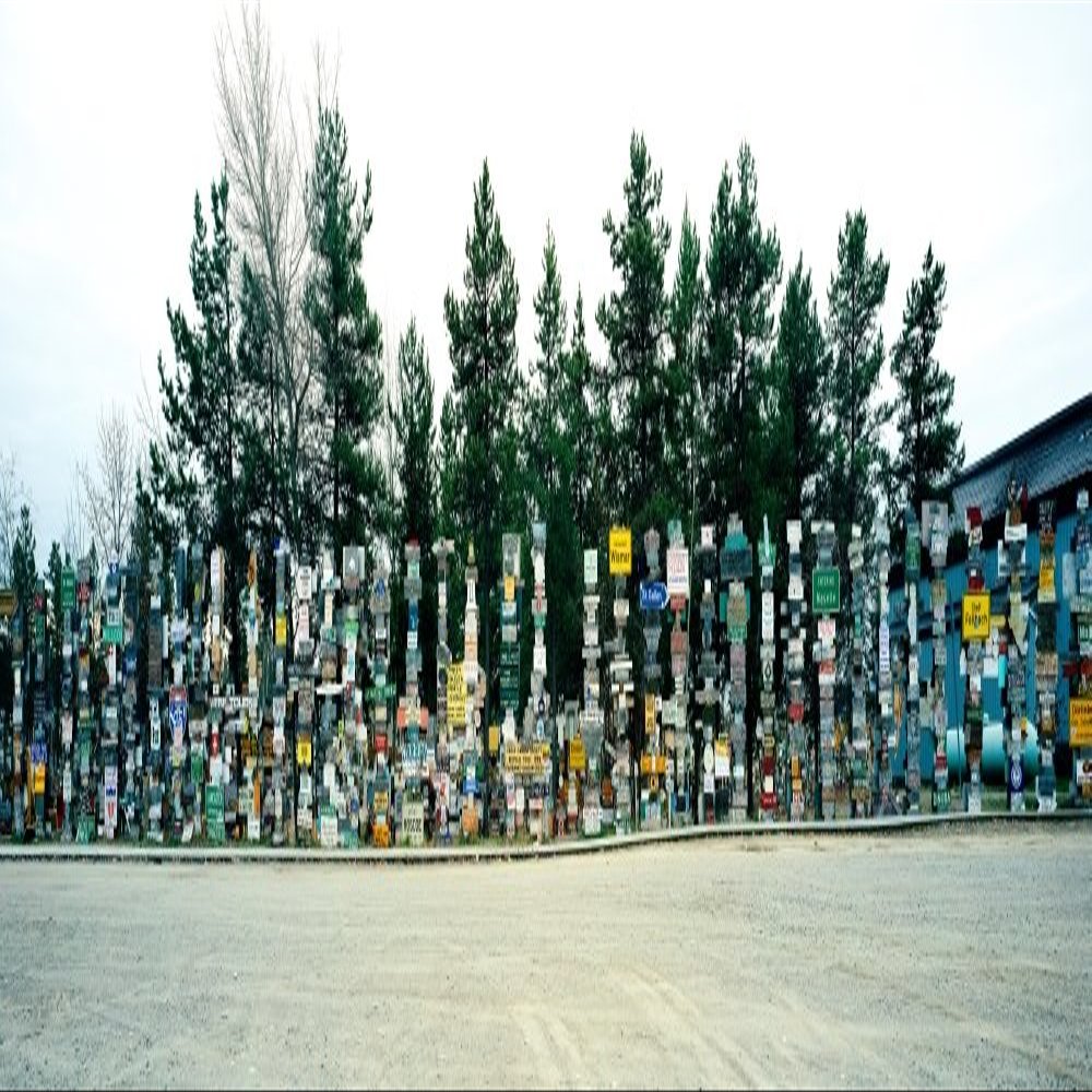 Signposts at the roadside Sign Post Forest Watson Lake Yukon California USA Poster Print (12 x 36)