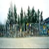 Signposts at the roadside Sign Post Forest Watson Lake Yukon California USA Poster Print (12 x 36) view 1