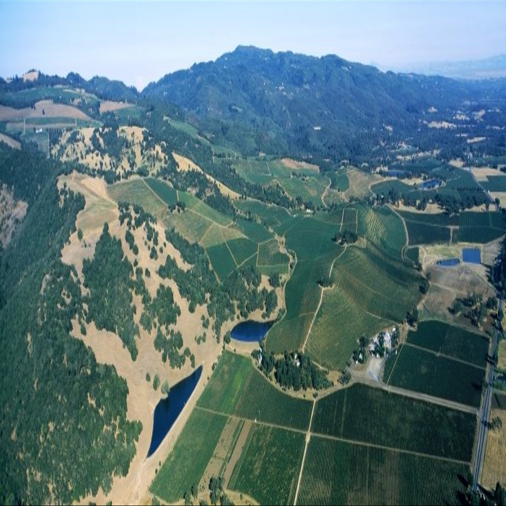 Aerial view of vineyards with Sonoma Mountains in the background Kunde Estate Winery Sonoma Valley California USA Poster Print (27 x 9)