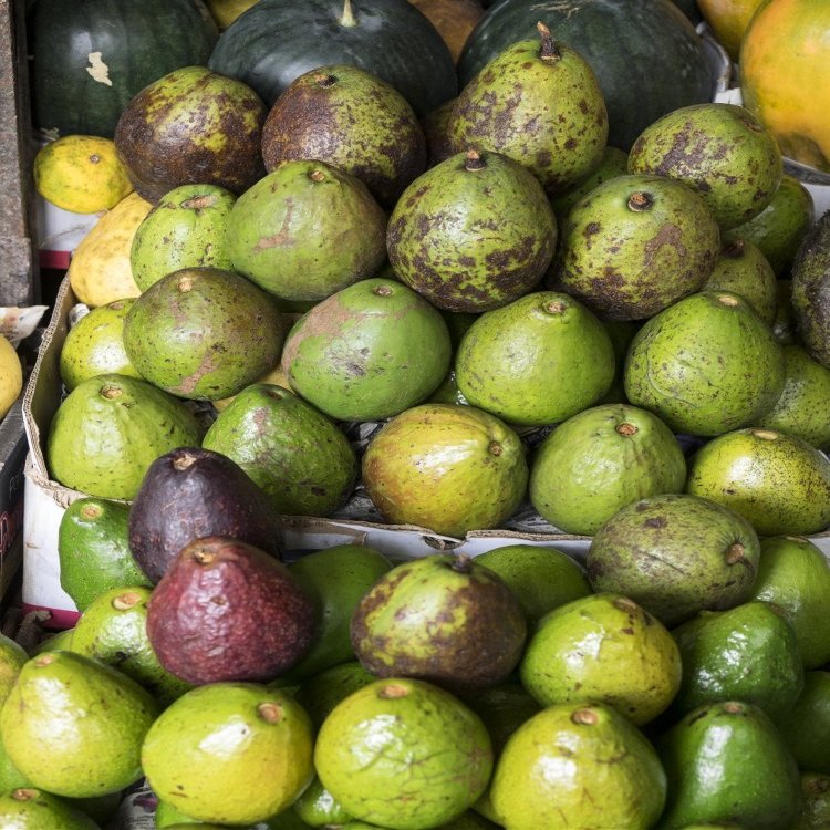 Posterazzi Avocados for sale Market Kandy Central Province Sri Lanka Poster Print, (12 x 16)