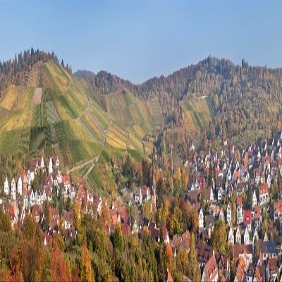 Posterazzi Vineyards with Uhlbach Stuttgart Baden-Wurttemberg Germany Poster Print, (36 x 12)