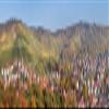 Posterazzi Vineyards with Uhlbach Stuttgart Baden-Wurttemberg Germany Poster Print, (36 x 12) view 1