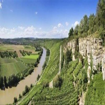 Posterazzi High angle view of vineyards Neckar River Hessigheim Baden-Wurttemberg Germany Poster Print, (24 x 12)