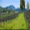 Posterazzi Vineyard in Sonoma Valley California USA Poster Print, (20 x 5) view 1
