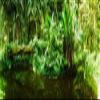 Posterazzi Subtropical forest of Parque Lage Jardim Botanico Corcovado Rio de Janeiro Brazil Poster Print, (32 x 12) view 1
