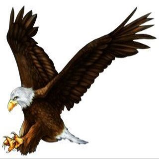 30" bald eagle r MAGNET Vinyl Car Fridge Sticks to any Metal Surface