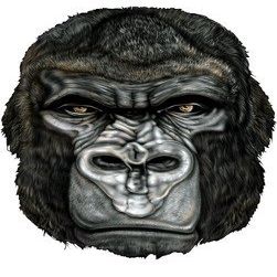 18" gorilla head r MAGNET Vinyl Car Fridge Sticks to any Metal Surface