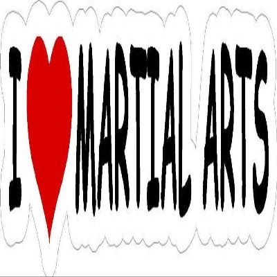 6" wide I heart love MARTIAL ARTS MAGNET Vinyl Car Fridge Sticks to any Metal Surface