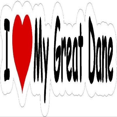 8" wide I heart love my Great Dane MAGNET Vinyl Car Fridge Sticks to any Metal Surface