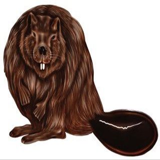 30" beaver r MAGNET Vinyl Car Fridge Sticks to any Metal Surface