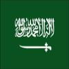 18" Saudia Arabia flag. MAGNET Vinyl Car Fridge Sticks to any Metal Surface view 1